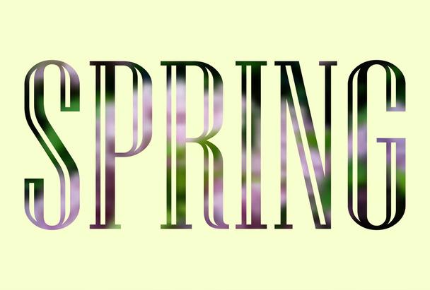 Spring lettering - Vector, Imagen