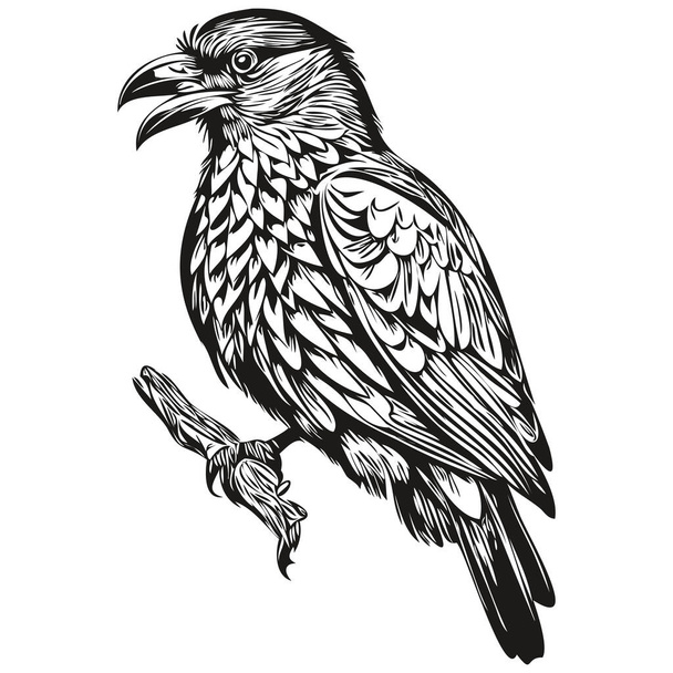 Raven logo, black and white illustration hand drawing corbi - Διάνυσμα, εικόνα