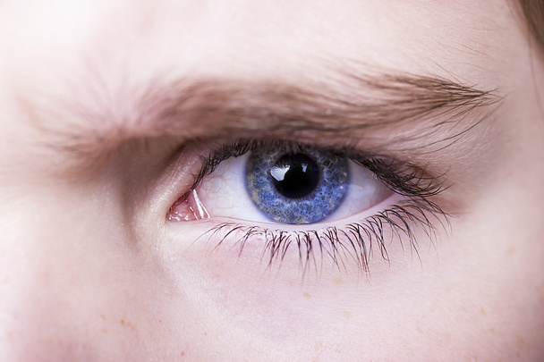 Insightful look blue eyes boy - Zdjęcie, obraz