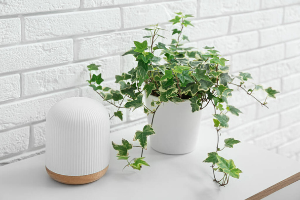Πράσινο φυτό εσωτερικού χώρου και λάμπα στο τραπέζι κοντά στον λευκό τοίχο από τούβλα - Φωτογραφία, εικόνα