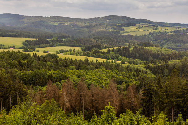 Landscape near Cervena Voda town, Czech Republic - 写真・画像
