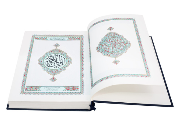 Коран, ізольовані на біле тло. - Фото, зображення
