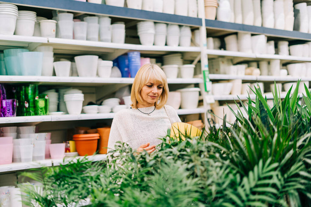Gardening, planting and shopping concept. Beautiful mature adult woman choosing houseplants and pots in greenhouse or garden centre. Senior buying flowers plants at market store in mall. - Foto, Imagen