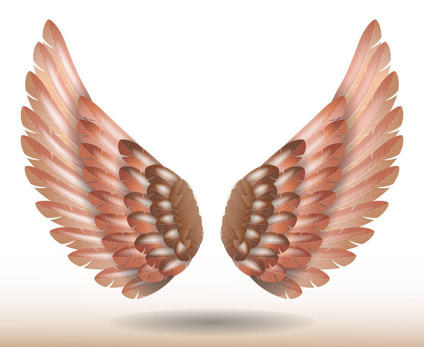 реалистичные крылья радужного ангела изолированы - 3d иллюстрация - Фото, изображение