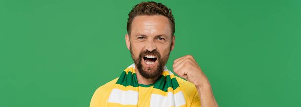 appassionato di calcio emotivo in sciarpa a righe e t-shirt gialla guardando la fotocamera e mostrando gesto di potenza isolato su verde, banner  - Foto, immagini