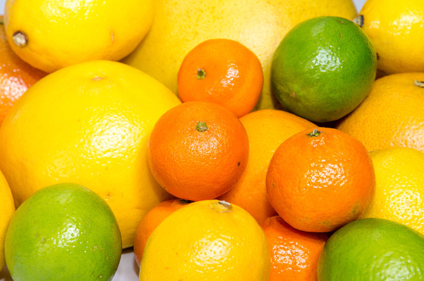 citrus fruits - Foto, immagini