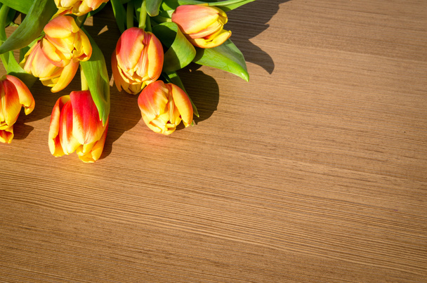 tulipanes - Foto, Imagen