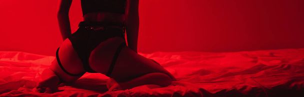 slender girl with sexy ass in beautiful underwear is sitting sexy on bed in bedroom with her back with a red light. Panoramic wide horizontal photo for banner head cover - Photo, image