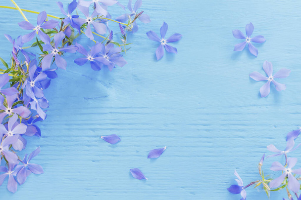 blue periwinkle on old blue wooden background  - Foto, Imagem