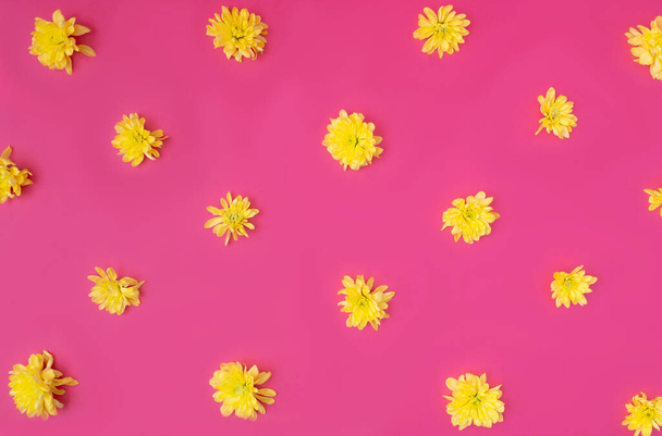 Egy természetes tapéta sárga pitypang virág fejek a bíbor háttér. Tavaszi természet koncepció. Lapos fektetés - Fotó, kép