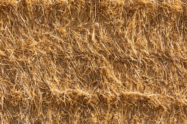 Background and texture of dry straw from a straw bale, a by-product of the agricultural industry intended as feed for livestock - Fotografie, Obrázek