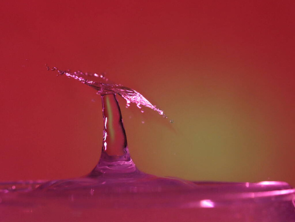 Drop of water colliding when it bounces and forming a palm tree - 写真・画像