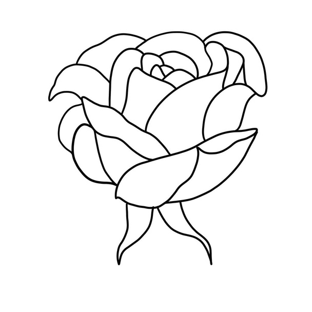 outline flower of rose on white background - Вектор,изображение