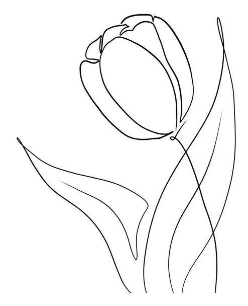 vector illustration of a beautiful flower - Vektor, obrázek
