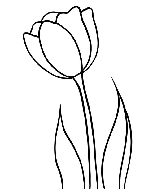 vector illustration of a beautiful flower - Vektör, Görsel