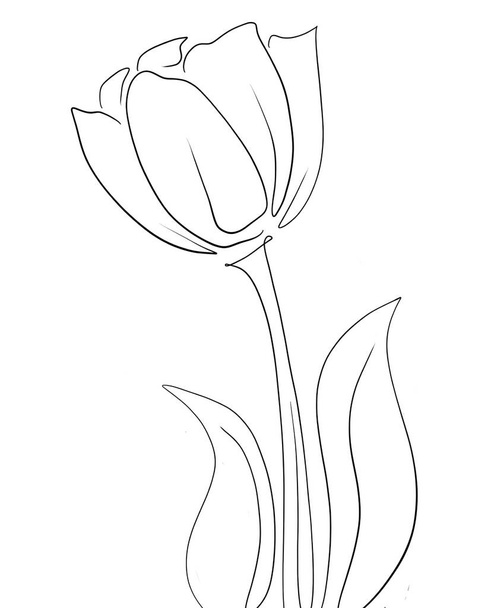 vector sketch of the flowers, illustration, beautiful flower - Vektor, kép
