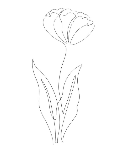 vector sketch of the flowers, illustration, beautiful flower - ベクター画像