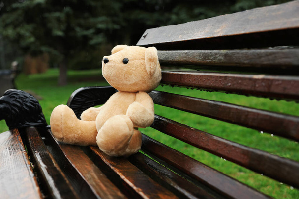 Lonely teddy bear on wooden bench outdoors - Foto, Imagen
