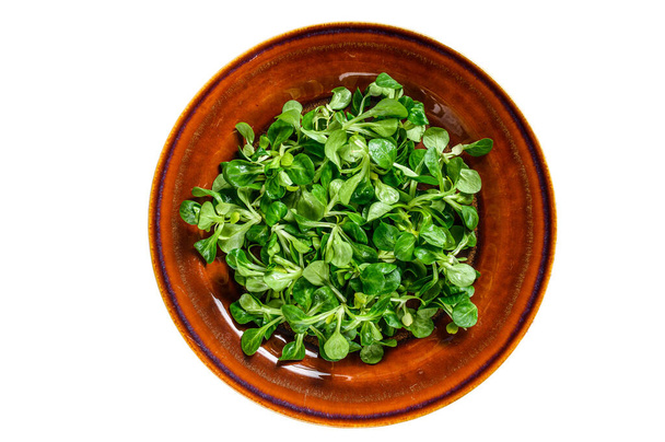 Свіжий зелений кукурудзяний салат на сільській тарілці. Ізольовані на білому тлі
 - Фото, зображення