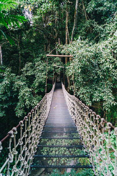 paseo por el cielo en la selva en Chiang Mai, Tailandia - Foto, Imagen