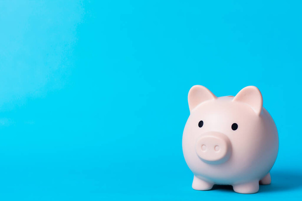 piggy bank on blue background. Finance and Investment Content - Φωτογραφία, εικόνα