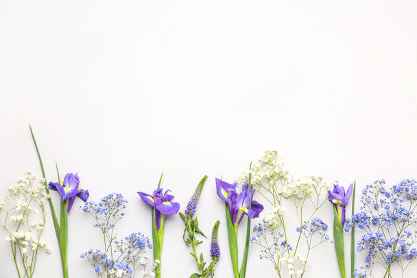 mooie bloemen op witte achtergrond - Foto, afbeelding