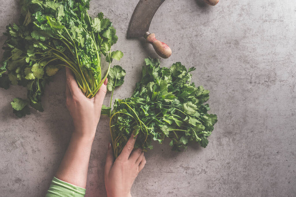 Woman hands holding fresh bundle of herbs on dark concrete background with vintage kitchen knife. Cooking preparation with healthy ingredients. Food concept. Top view - 写真・画像