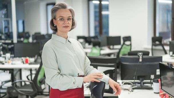 Portrait of an attractive mature caucasian woman in the office - Фото, изображение