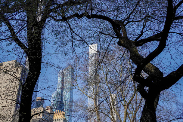 Central Park bomen takken New York stad Manhattan wolkenkrabbers uitzicht vanaf de straat naar de top van het gebouw op zonnige heldere dag - Foto, afbeelding