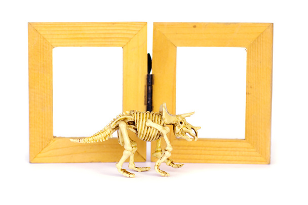 Dinozor iskelet modeli üzerinde ahşap çerçeve üzerine beyaz - izole stok  - Fotoğraf, Görsel