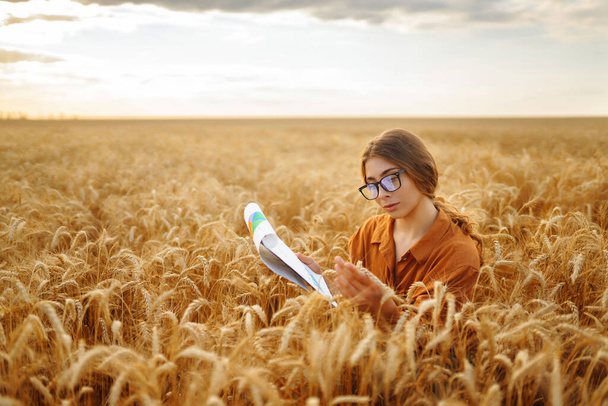 Young woman agronomist in a wheat field with a tablet in her hand checks the yield. The farmer evaluates the quality of the seeds and the growth progress of the wheat field. Agriculture. - Fotografie, Obrázek