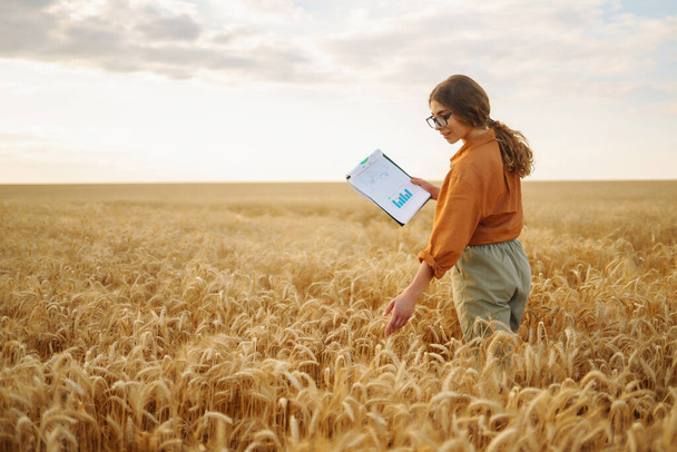 Young woman agronomist in a wheat field with a tablet in her hand checks the yield. The farmer evaluates the quality of the seeds and the growth progress of the wheat field. Agriculture. - Fotografie, Obrázek