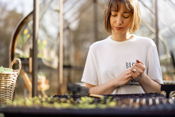 Young woman enjoys the process of sowing seeds into trays, while sitting outdoors in garden - Foto, Imagen