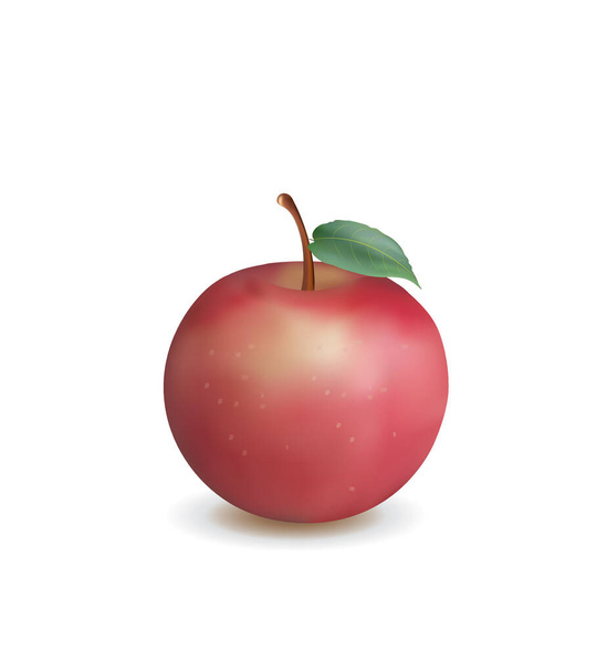 Realistic red apple on white background, vector - Вектор, зображення
