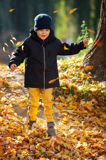 Χαρούμενο αξιολάτρευτο παιδί με φύλλα στο πάρκο του φθινοπώρου. Η έννοια της παιδικής ηλικίας, οικογένειας και παιδιού. Χαρούμενη παιδική ηλικία. - Φωτογραφία, εικόνα