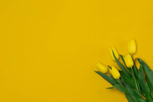 Bouquet de tulipes jaunes sur fond jaune. Espace de copie pour le texte - Photo, image