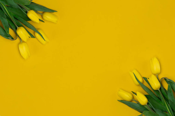 Kukkakimppu keltaisia tulppaaneja keltaisella pohjalla. Kopioi tilaa tekstille - Valokuva, kuva