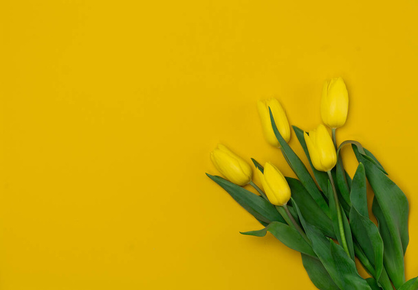Bouquet of Yellow Tulips on a yellow background. Copy space for text - Foto, imagen