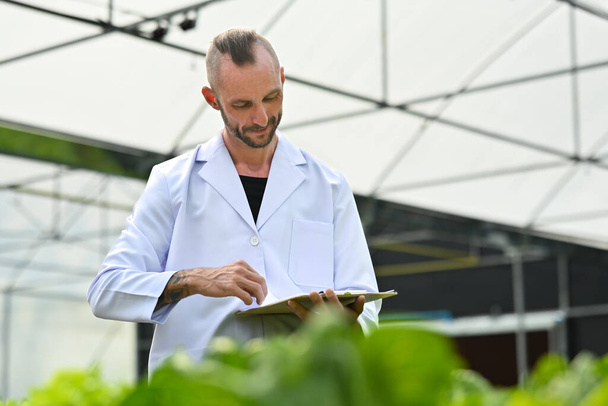 Blanke mannelijke landbouwonderzoeker met klembord, toezicht op biologische groente in kas. - Foto, afbeelding