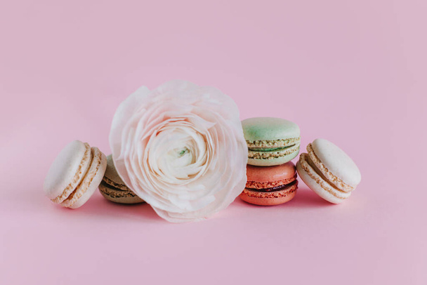 Tasty french macarons with beautiful flower on a pink pastel background. Place for text. - Foto, afbeelding