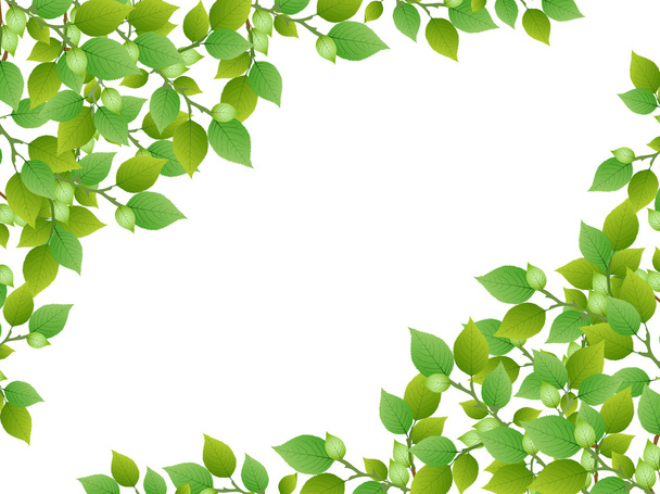 Listy čerstvé zelené pozadí - Vektor, obrázek