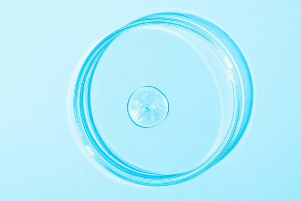 Gran gota de líquido azul. O azul líquido con destellos. En una placa Petri sobre un fondo azul. Laboratorio, química, investigación cosmética, purpurina. - Foto, imagen