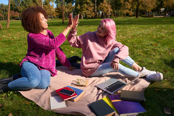 Zwei fröhliche Frauen geben einander High Five, während sie auf einer Decke im öffentlichen Park sitzen - Foto, Bild