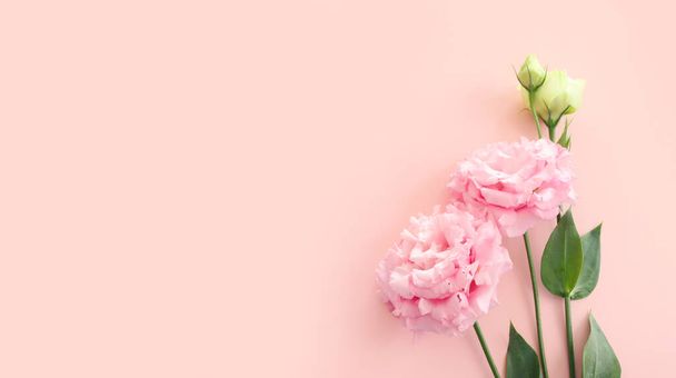 Top view image of delicate pink flowers over pastel background - Foto, Imagen