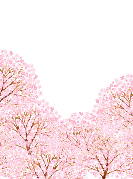 桜の木の背景 - ベクター画像