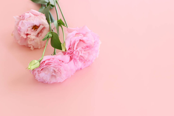 Top view image of delicate pink flowers over pastel background - Φωτογραφία, εικόνα
