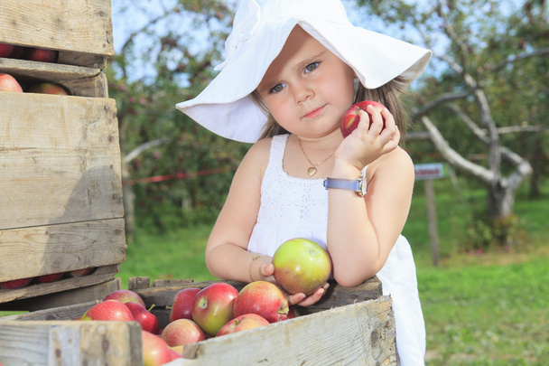 Cute little preschooler girl eating an apple on beautiful autumn - Foto, Imagem