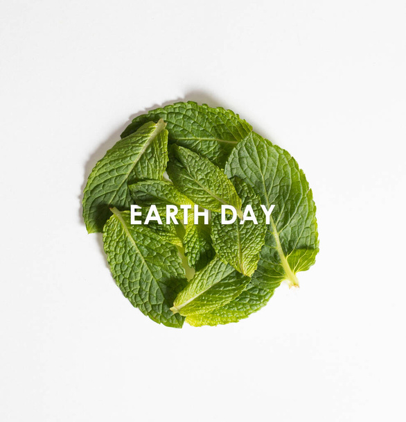 Earth Day Konzept mit Text. Frische Minzblätter im Kreis, isoliert auf weißem Hintergrund - Foto, Bild