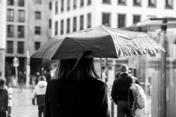 Portrait on back view of woman walking in the street with a black umbrella by rainy day - 写真・画像