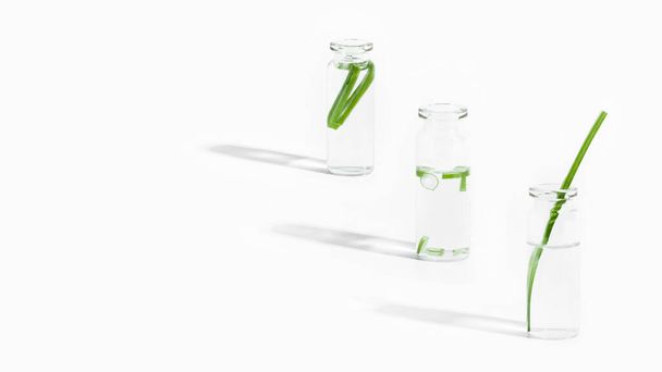 organic cosmetics, natural cosmetics, biofuels, algae. Natural green laboratory. Experiments. Laboratory glass jars in a row with green plants on a light background. - Photo, Image